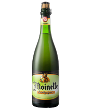 5410702000508 Moinette Bio Láhev 25cl